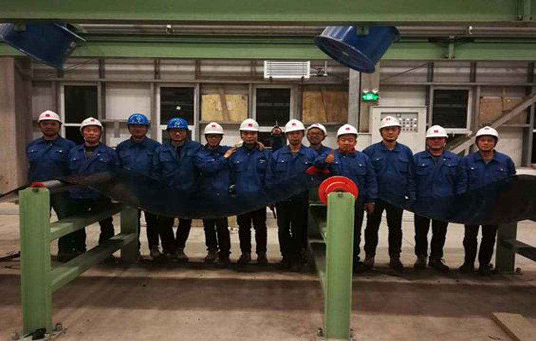 1516163694419120i8I6.jpg 88.jpg